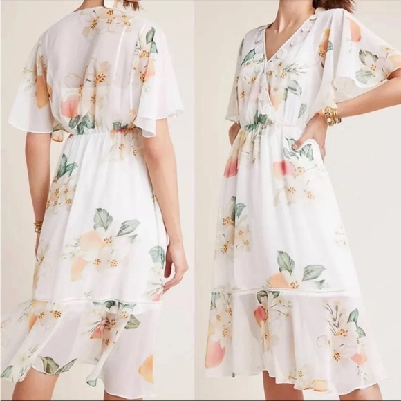 Farm Rio Sheer Dress - Picture 4 of 6